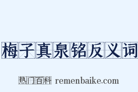 梅子真泉铭反义词是什么意思的图片